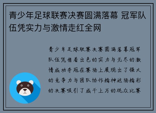 青少年足球联赛决赛圆满落幕 冠军队伍凭实力与激情走红全网
