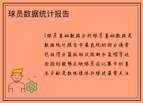 球员数据统计报告
